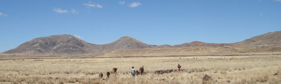 Azangaro---High-plains-farmers.jpg