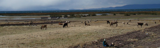 Titicaca---Big-sky-with-animals.jpg